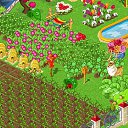 ���� ���� (���������� ������ � ������� �������), ������, 70 ��� - ��������� 16 ������ 2011 � ������ ������� �������