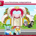  , , 41  -  24  2010   PetLove