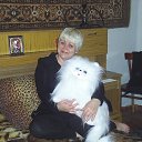 ���� �������, ��������-��-������, 67 ��� - ��������� 21 ���� 2013