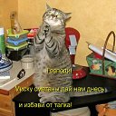 ���� Tata, �������� - ��������� 15 ������� 2010 � ������ ������
