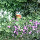 ���� ������, �����, 53 ���� - ��������� 2 ���� 2013 � ������ ���� ����������