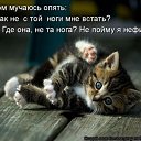 , , 50  -  28  2011   ))))))