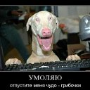 ���� �������, �������, 37 ��� - ��������� 7 �������� 2010 � ������ �aka (Me)�