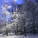 ���� ������, ������, 47 ��� - ��������� 4 ������� 2013 � ������ �������� ������