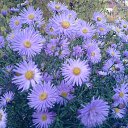 ���� ������, ������, 63 ���� - ��������� 6 ����� 2012 � ������ ���� ������