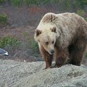 ���� ���, ������� - ��������� 22 ������ 2011 � ������ �������� ������