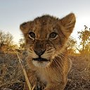 ���� Vova, �����������, 26 ��� - ��������� 2 ��� 2013 � ������ ���� ����������