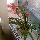 ���� �������, ������, 57 ��� - ��������� 14 ���� 2012 � ������ ���� ������