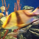 ���� ����, �����-���������, 57 ��� - ��������� 23 ������ 2011 � ������ �� �����������