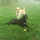 ���� ���, ������ - ��������� 19 ������� 2011 � ������ ���� ����������