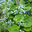 ���� �@�@�@, ������, 49 ��� - ��������� 9 ��� 2010 � ������ ������� ����� � ��.�