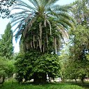 ���� ���������, ����������, 67 ��� - ��������� 25 ��� 2013 � ������ ������. �������.�