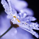� ����� �������� ���� vk.com/fotiko �� ������� ���� ������� ������