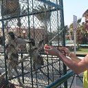 ���� ���������, �����-��������� - ��������� 15 ������ 2012 � ������ ���� ����������