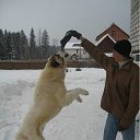 ���� ������, �����, 52 ���� - ��������� 17 �������� 2011