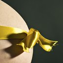 ���� ����, ����, 42 ���� - ��������� 28 ������ 2011 � ������ ������� ����