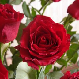 ���� �����, ������ - ��������� 7 ������� 2009