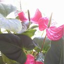 ���� �������, ������, 57 ��� - ��������� 14 ���� 2012 � ������ ���� ������