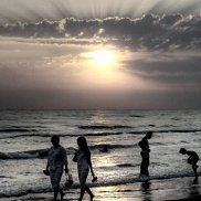 ����, , ��������