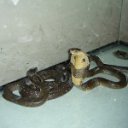  , -, 47  -  22  2011