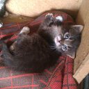 ���� �������, ��������, 42 ���� - ��������� 27 ��� 2013 � ������ ������ ��������