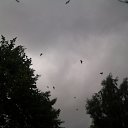 ���� ���, ������ - ��������� 28 ������� 2010 � ������ �������