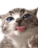 ���� ����, ������, 30 ��� - ��������� 28 ������� 2010 � ������ ������� ����������