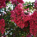 ���� ����, ������, 38 ��� - ��������� 28 ���� 2010 � ������ �������