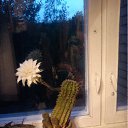 ���� ������� ��������, ������, 39 ��� - ��������� 22 �������� 2012