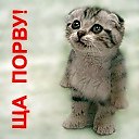 ���� ����, ������������, 64 ���� - ��������� 2 ���� 2012