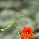 ���� �����, ��������, 47 ��� - ��������� 10 ��� 2013