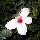 ���� ����, �����, 60 ��� - ��������� 9 ���� 2012 � ������ ��Ψ ����������� � ������ܻ