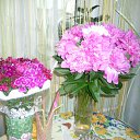 ���� �����, ����� - ��������� 6 ���� 2012 � ������ ������Ż