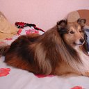 ���� ����, ������, 58 ��� - ��������� 17 ������� 2012 � ������ ���� ����������