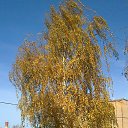 ���� Larka, ������, 52 ���� - ��������� 11 ������ 2012 � ������ ���� ����������