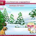  ,  -  10  2011   PetLove