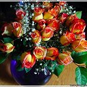���� Svetlaych&k(����� ����), ������, 51 ��� - ��������� 7 ���� 2012 � ������ �������