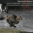 ���� ˸��, ����, 44 ���� - ��������� 26 ���� 2012 � ������ ������