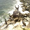 ���� ��������, ���������, 56 ��� - ��������� 8 ���� 2012 � ������ ���� ����������