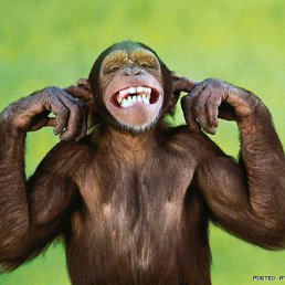 ���� ���������, �������, 53 ���� - ��������� 11 ��� 2011