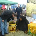 ���� Maxfartor Int., ������, 51 ��� - ��������� 27 ������� 2011