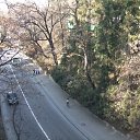  , , 41  -  15  2010   ~  ~