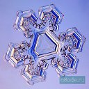 ���� �������, ������, 41 ��� - ��������� 9 ������� 2009 � ������ ���������