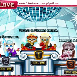 ���� ˸���, �����-��������� - ��������� 12 ������� 2010