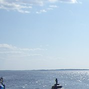 Vitek, �������, 43 ����