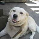 ���� �����, ������ - ��������� 12 ���� 2010 � ������ ���������