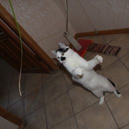 ���� �����, ������, 28 ��� - ��������� 6 ����� 2011