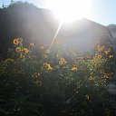 ���� �������, ���������, 55 ��� - ��������� 15 ������� 2013 � ������ ���� ����������