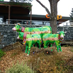 ���������� ������...
