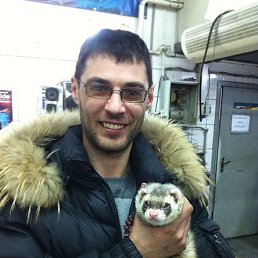 ������, ����, 46 ���